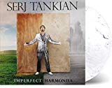 Imperfect Harmonies - Vinyl