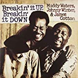 Breakin'' It Up, Breakin'' It Down 2 Lp - Vinyl RSD Black Friday 2018