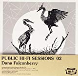 Public Hi-fi Sessions 02 RSD 2014 Vinyl