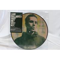 Why Me? Why Not. RSD BF19 Picture Disc Vinyl