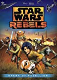 Star Wars Rebels: Spark Of Rebellion - Dvd