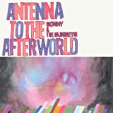 Antenna To The Afterworld - Audio Cd