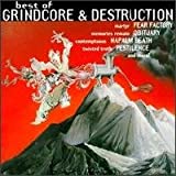 Best Of Grindcore & Destruction - Audio Cd