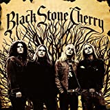 Black Stone Cherry - Audio Cd