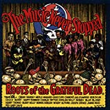 Music Never Stopped: Roots Of The Grateful Dead - Audio Cd
