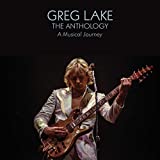 The Anthology: A Musical Journey - Vinyl