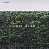 You're Not Alone - Vinyl