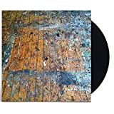 Painted Shield - Vinyl