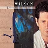 Brian Wilson (180 Gram Translucent Blue Audiophile Vinyl/limited Edition/gatefold Cover) - Vinyl
