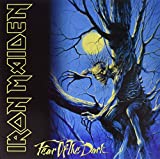 Fear Of The Dark (2-lp Set, 180-gram Vinyl) - Vinyl