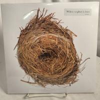 Wilco - A Ghost Is Born (vinyl/lp) - Vinyl