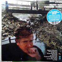 Bridge Over Troubled Water - colored vinyl