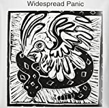 Widespread Panic - Vinyl