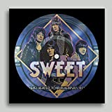 Level Headed Tour Rehearsals 1977 (picture Disc) - Vinyl