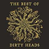The Best Of Dirty Heads - Fools Gold - Vinyl