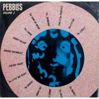 Pebbles Volume 2 - 60s Garage/Psych Compilation