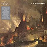 Into The Pandemonium - Vinyl