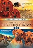 Where The Red Fern Grows - Double Feature - Dvd