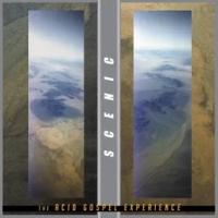 The Acid Gospel Experience - Translucent Ice Green Vinyl