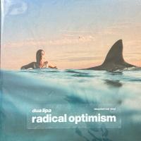 Dua Lipa-Radical Optimism - Exclusive Recycled Red Vinyl