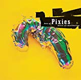 Wave Of Mutilation: Best Of Pixies - Vinyl LP